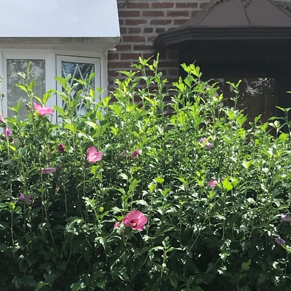 Meet your Posher, J - Picture 1 of 1